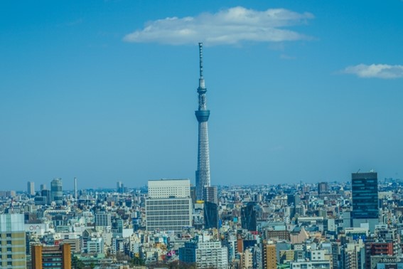 子育て世帯におすすめの文京区の学校事情は?【本郷三丁目】